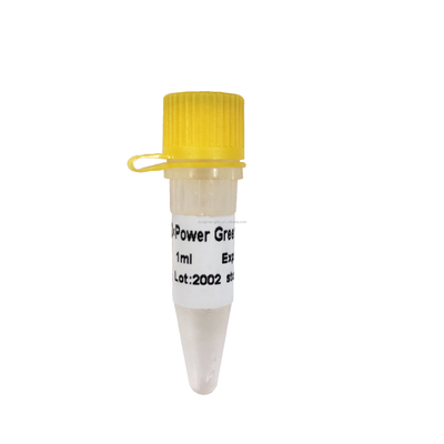 পাওয়ার গ্রীন QPCR মিক্স P2101 P2102 রিয়েল টাইম PCR মিক্স
