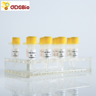 GDSBio HS প্রোব QPCR রিয়েল টাইম PCR মিক্স P2201 P2202