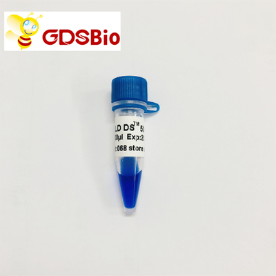 GDSBio LD DS 5000 DNA মার্কার ইলেক্ট্রোফোরেসিস নীল চেহারা