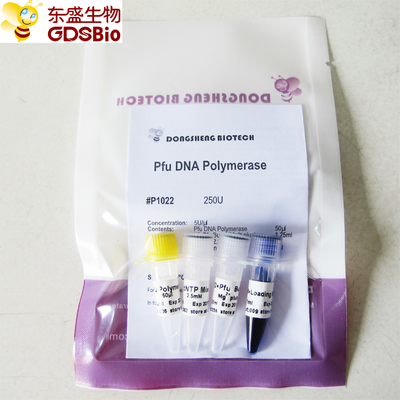 PCR P1021 P1022 P1023 P1024 এর জন্য Pfu DNA পলিমারেজ