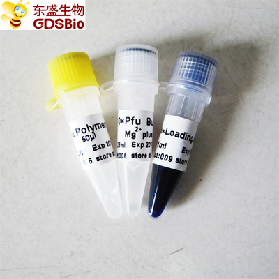 PCR P1021 P1022 P1023 P1024 এর জন্য Pfu DNA পলিমারেজ