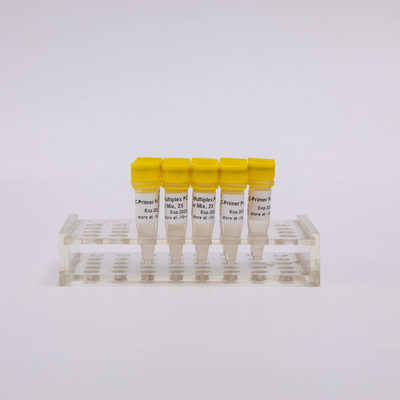 ARTIC SARS-CoV-2 NGS লাইব্রেরি নির্মাণ মাল্টিপ্লেক্স PCR কিট