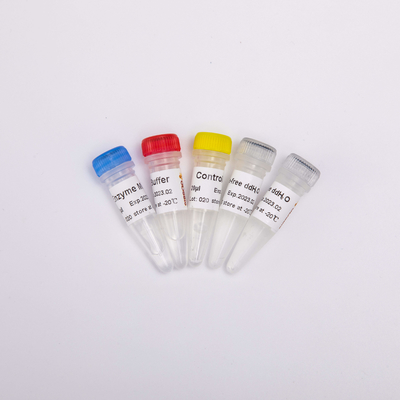 QPCR প্রিমিক্সড রিভার্স ট্রান্সক্রিপ্টেজ পিসিআর রিএজেন্টের জন্য R1031 GDSBio RT PCR মিক্স